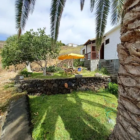 El Olivo De *